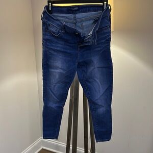Celebrity Blues Denim Jeans